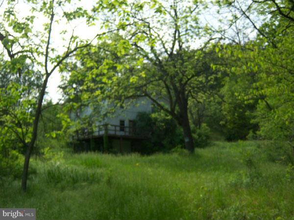 3000 Mesner Road Berkeley Springs, WV 25411 - Photo 10 of 17 Exterior (General)