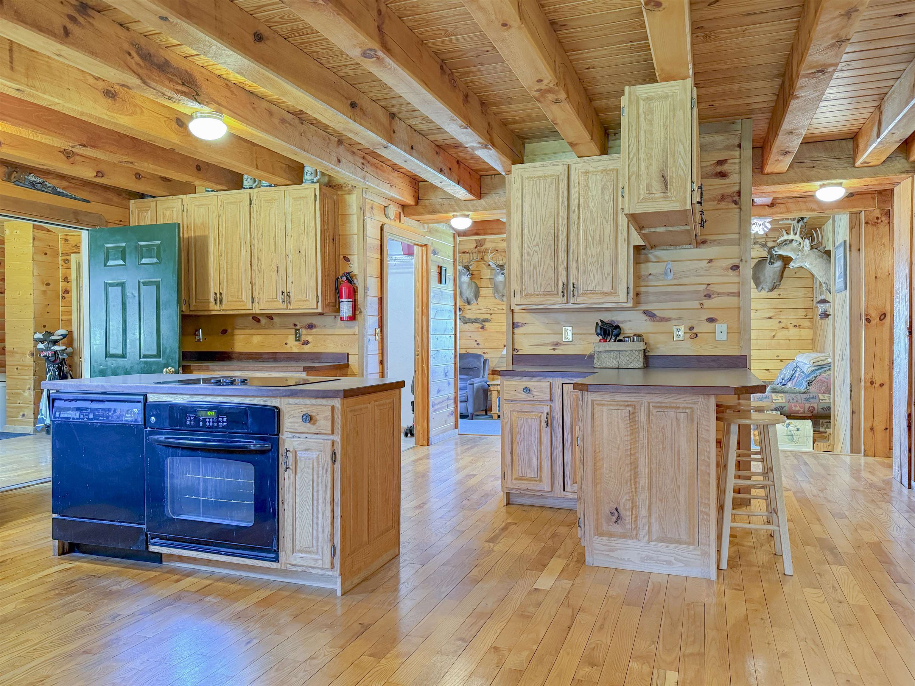 753 North School Road Weidman, MI 48893 - Photo 3 of 77