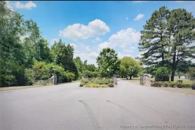 a view of a road with a yard