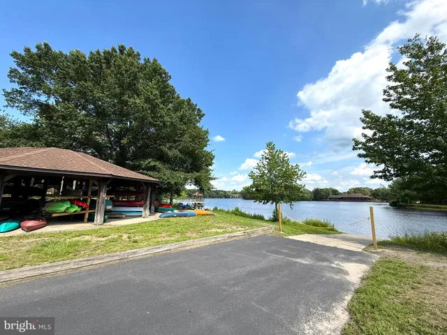 a view of a park with large trees