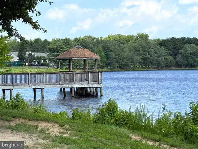 a view of a bench in the garden