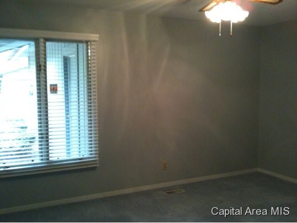 104 Brookside Place Springfield, IL 62704 - Photo 11 of 21 Gallery Image 11