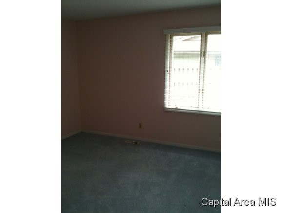 104 Brookside Place Springfield, IL 62704 - Photo 13 of 21 Gallery Image 13