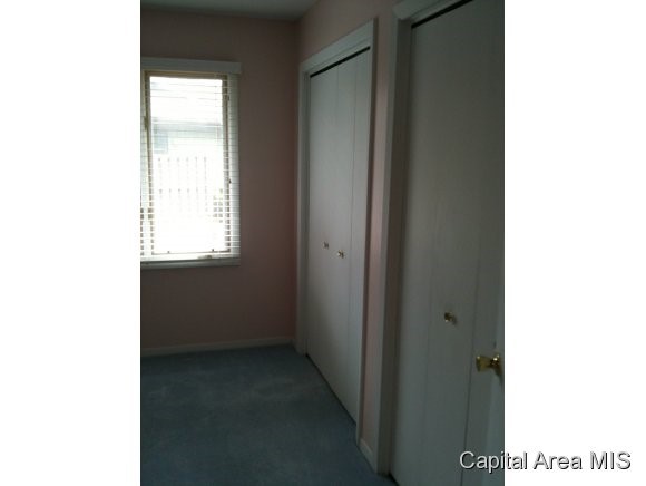 104 Brookside Place Springfield, IL 62704 - Photo 14 of 21 Gallery Image 14