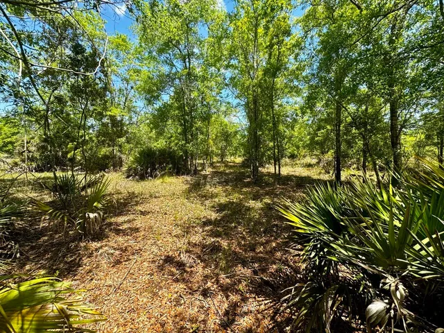 $601,120 | Vacant Vacant 62nd Road, Lamont, FL 32336