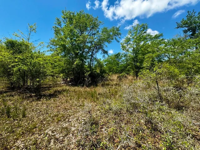 $601,120 | Vacant Vacant 62nd Road, Lamont, FL 32336