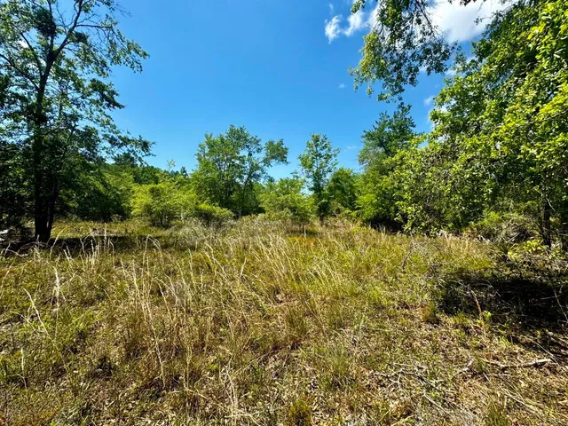 $601,120 | Vacant Vacant 62nd Road, Lamont, FL 32336