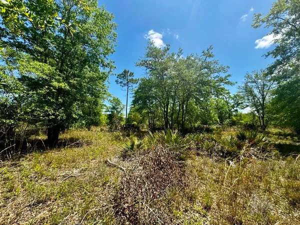 $601,120 | Vacant Vacant 62nd Road, Lamont, FL 32336
