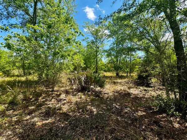 $601,120 | Vacant Vacant 62nd Road, Lamont, FL 32336