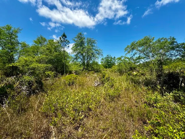 $601,120 | Vacant Vacant 62nd Road, Lamont, FL 32336