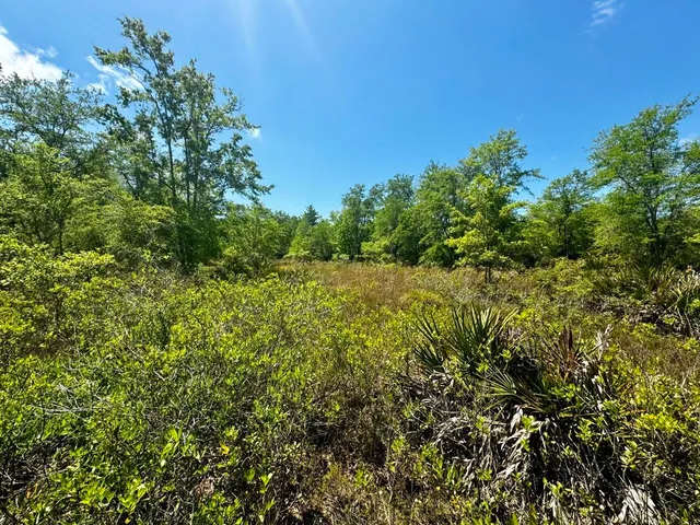 $601,120 | Vacant Vacant 62nd Road, Lamont, FL 32336