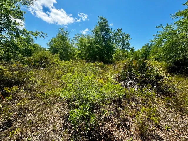 $601,120 | Vacant Vacant 62nd Road, Lamont, FL 32336