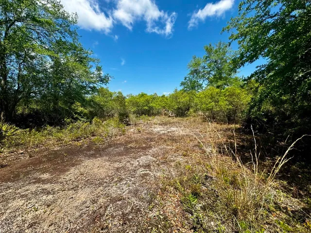 $601,120 | Vacant Vacant 62nd Road, Lamont, FL 32336
