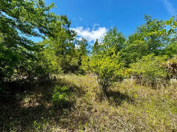 $601,120 | Vacant Vacant 62nd Road, Lamont, FL 32336