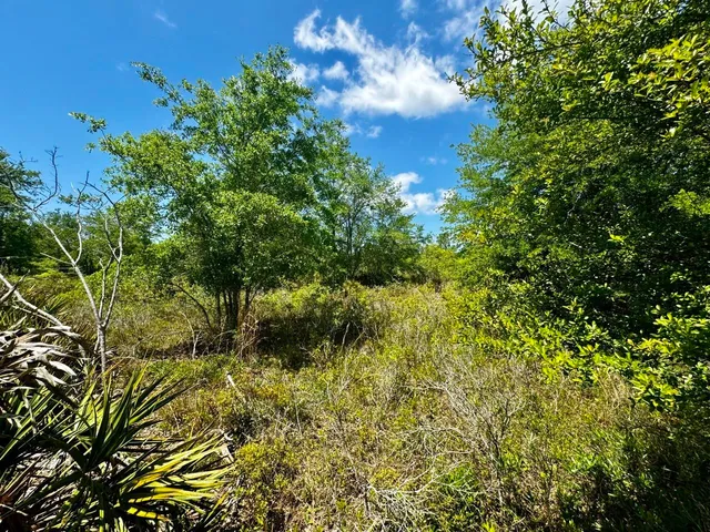 $601,120 | Vacant Vacant 62nd Road, Lamont, FL 32336