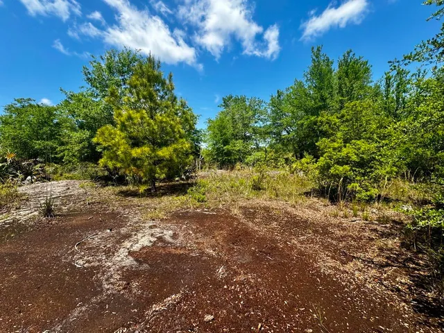 $601,120 | Vacant Vacant 62nd Road, Lamont, FL 32336