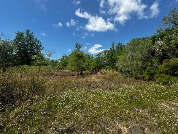 $601,120 | Vacant Vacant 62nd Road, Lamont, FL 32336