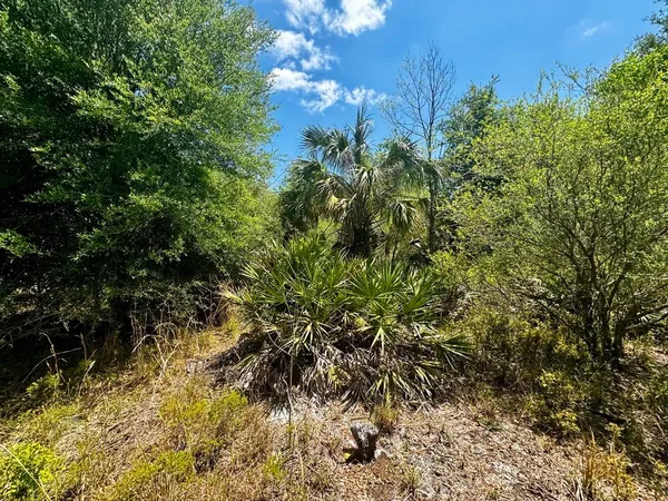 $601,120 | Vacant Vacant 62nd Road, Lamont, FL 32336