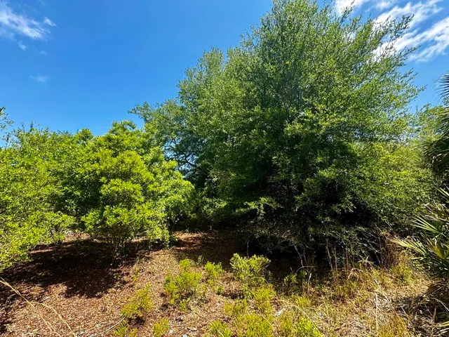 $601,120 | Vacant Vacant 62nd Road, Lamont, FL 32336