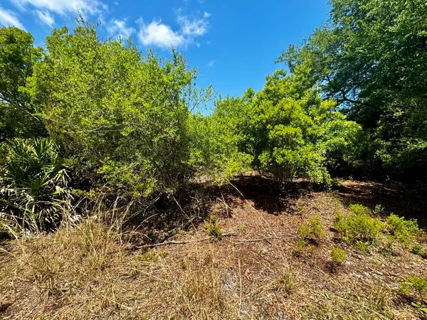 $601,120 | Vacant Vacant 62nd Road, Lamont, FL 32336
