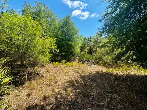 $601,120 | Vacant Vacant 62nd Road, Lamont, FL 32336