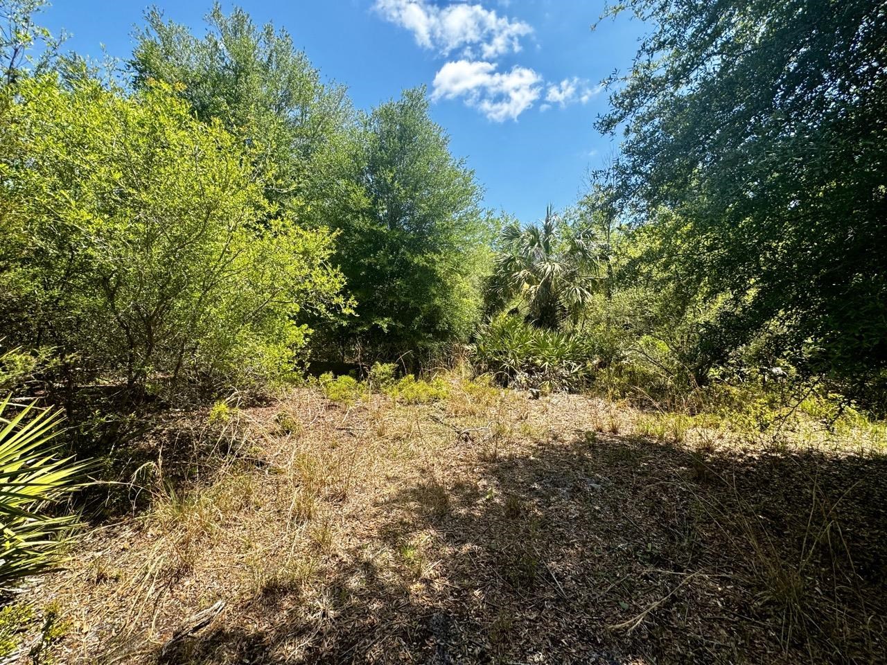 Vacant Vacant 62nd Road Lamont, FL 32336 - Photo 27 of 40