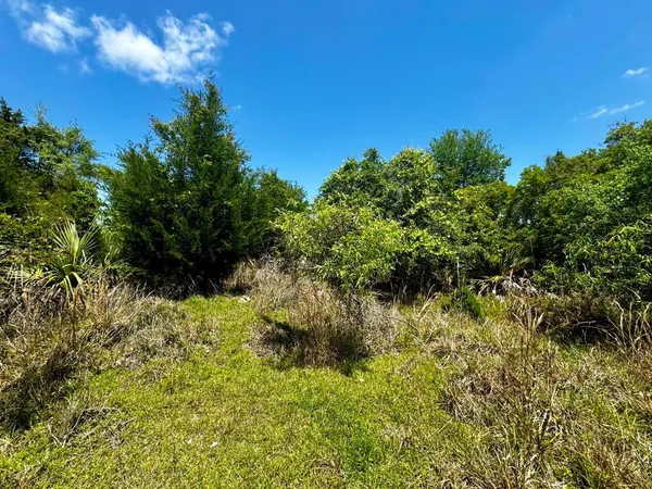 $601,120 | Vacant Vacant 62nd Road, Lamont, FL 32336