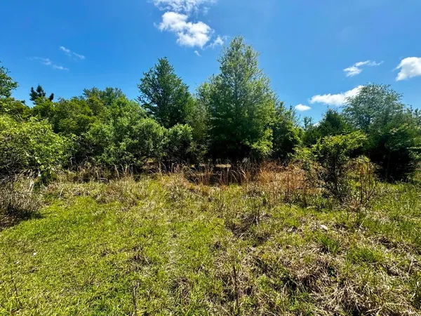 $601,120 | Vacant Vacant 62nd Road, Lamont, FL 32336
