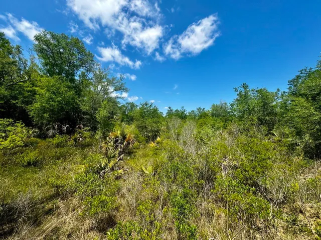 $601,120 | Vacant Vacant 62nd Road, Lamont, FL 32336