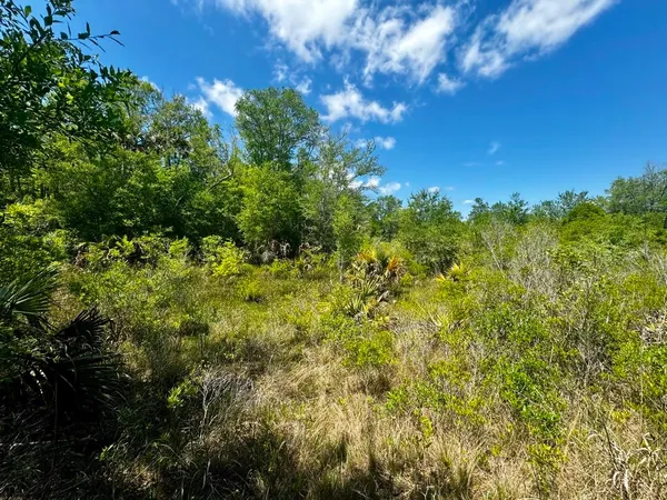 $601,120 | Vacant Vacant 62nd Road, Lamont, FL 32336