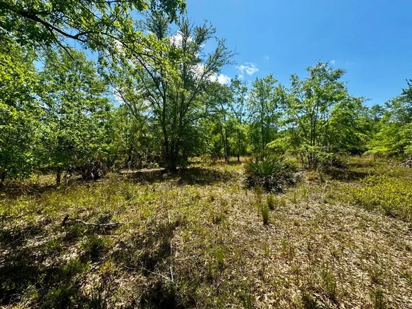 $601,120 | Vacant Vacant 62nd Road, Lamont, FL 32336