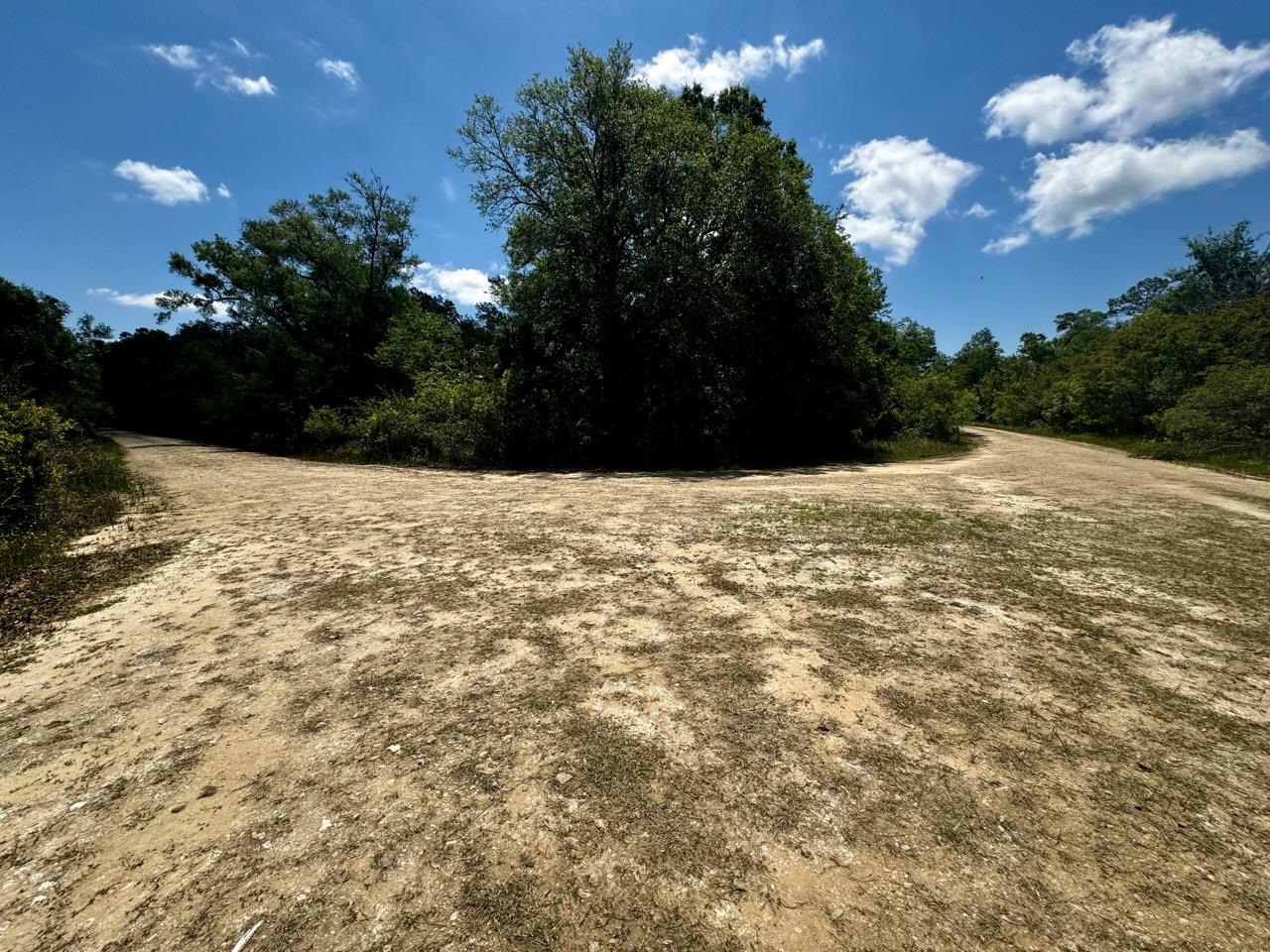 Vacant Vacant 62nd Road Lamont, FL 32336 - Photo 34 of 40