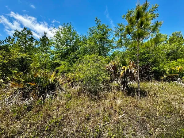 $601,120 | Vacant Vacant 62nd Road, Lamont, FL 32336