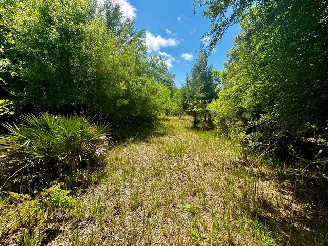 $601,120 | Vacant Vacant 62nd Road, Lamont, FL 32336
