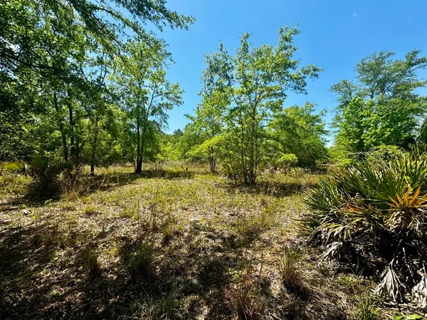 $601,120 | Vacant Vacant 62nd Road, Lamont, FL 32336