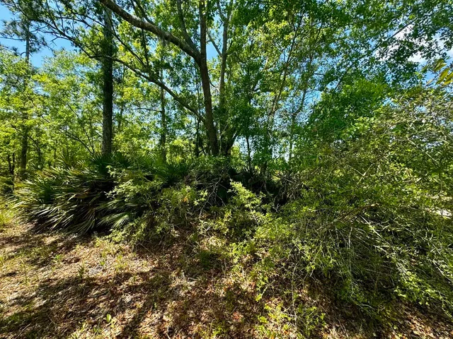 $601,120 | Vacant Vacant 62nd Road, Lamont, FL 32336