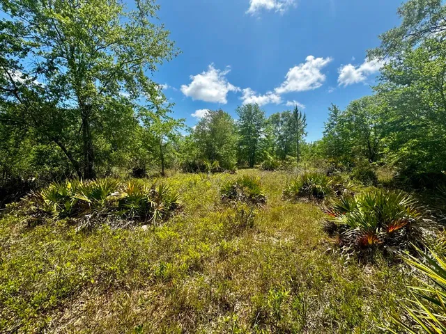 $601,120 | Vacant Vacant 62nd Road, Lamont, FL 32336