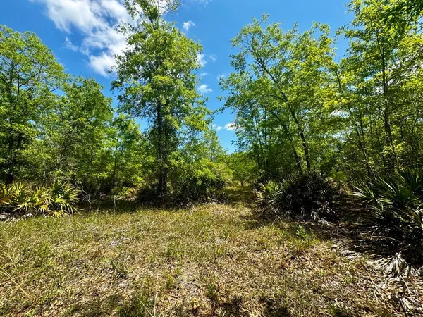 $601,120 | Vacant Vacant 62nd Road, Lamont, FL 32336
