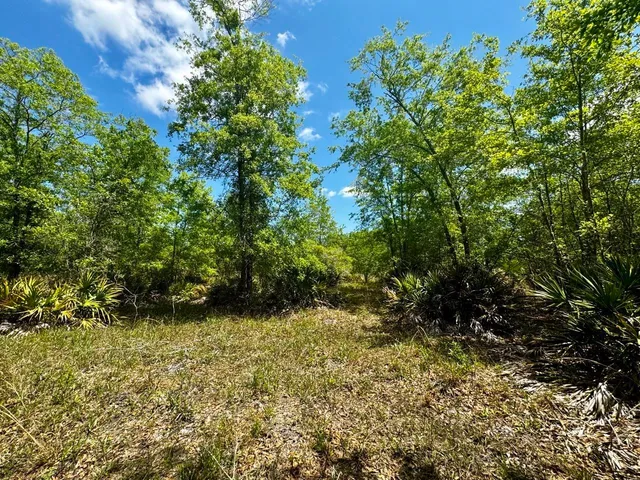 $601,120 | Vacant Vacant 62nd Road, Lamont, FL 32336