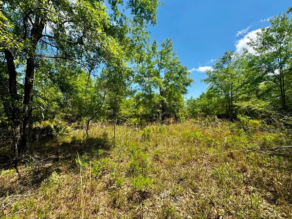 $601,120 | Vacant Vacant 62nd Road, Lamont, FL 32336