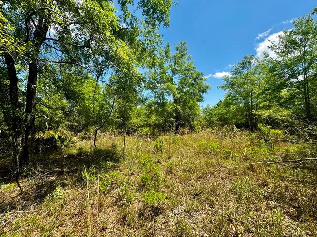 $601,120 | Vacant Vacant 62nd Road, Lamont, FL 32336