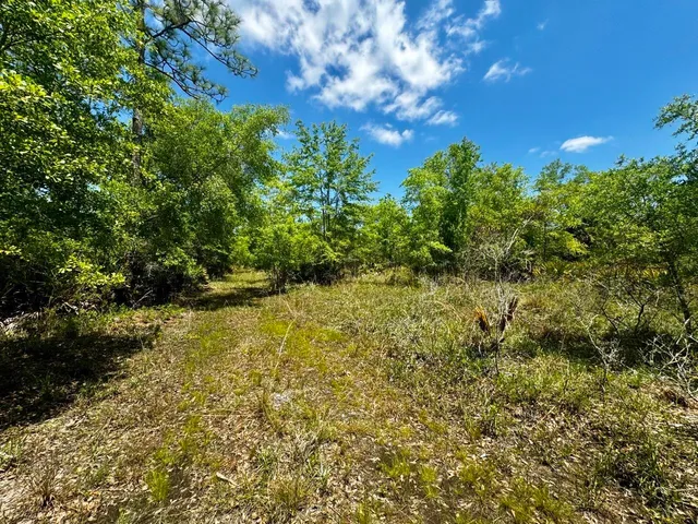 $601,120 | Vacant Vacant 62nd Road, Lamont, FL 32336