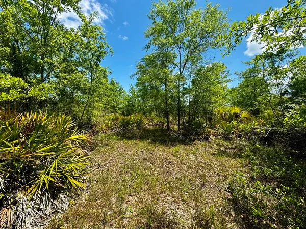 $601,120 | Vacant Vacant 62nd Road, Lamont, FL 32336