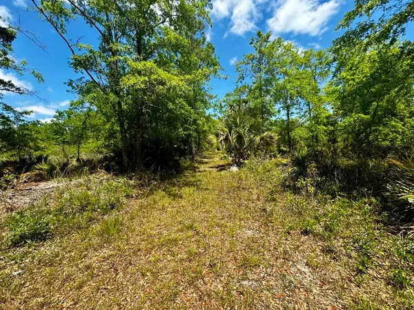$601,120 | Vacant Vacant 62nd Road, Lamont, FL 32336