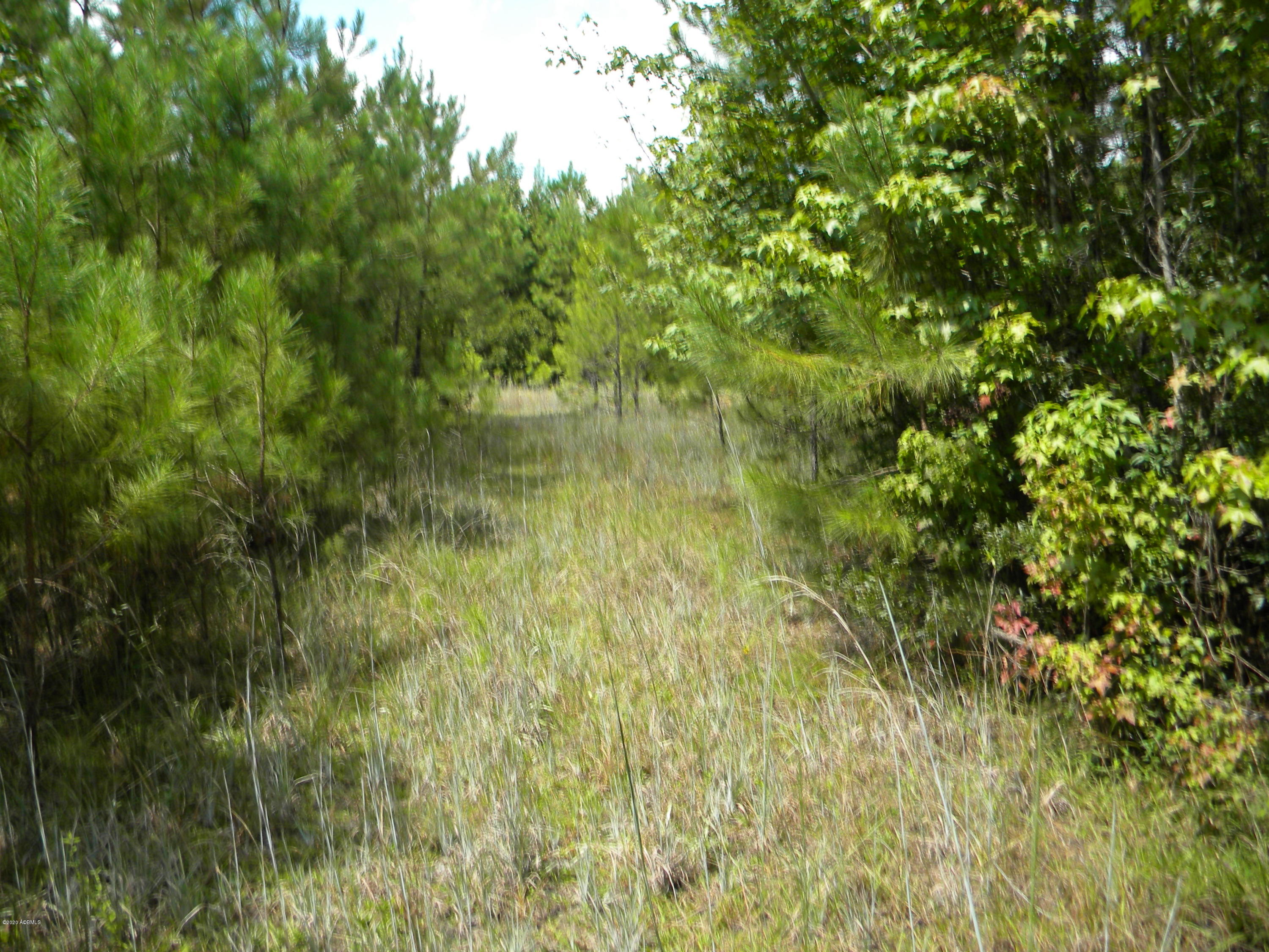 0 Alexander Road Yemassee, SC 29945 - Photo 1 of 5 DSCN4483