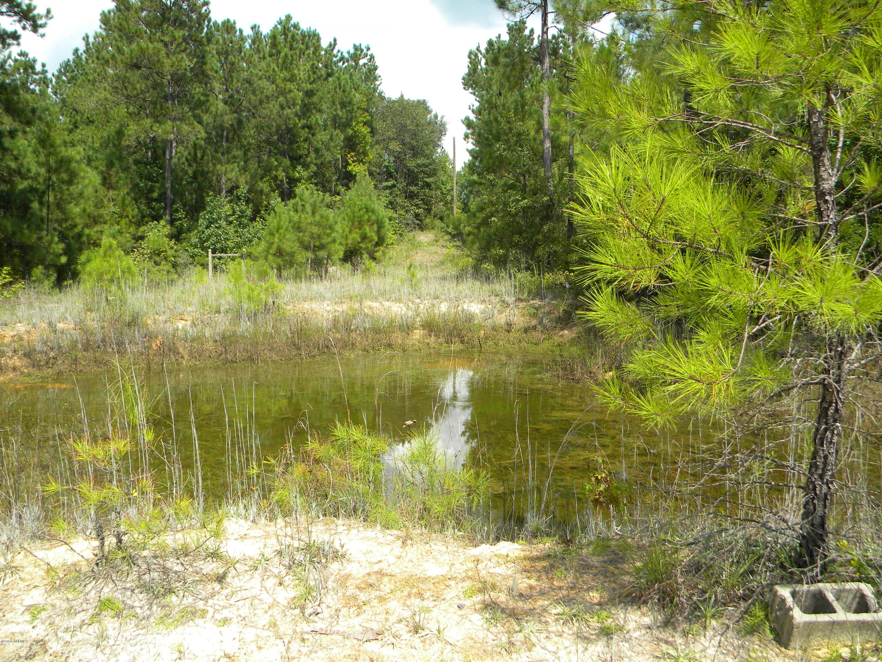 0 Alexander Road Yemassee, SC 29945 - Photo 2 of 5 DSCN4484