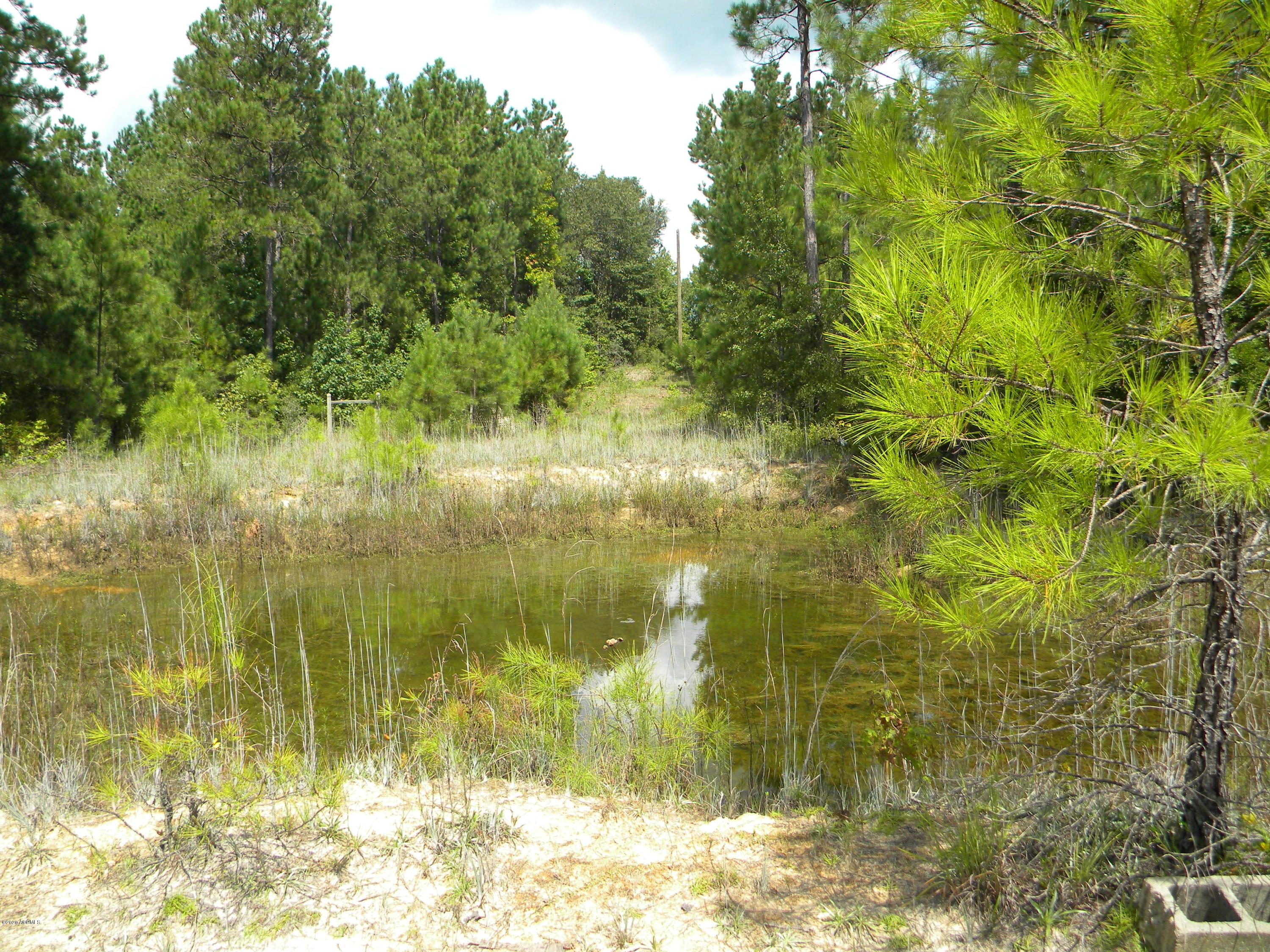 0 Alexander Road Yemassee, SC 29945 - Photo 3 of 5 DSCN4485