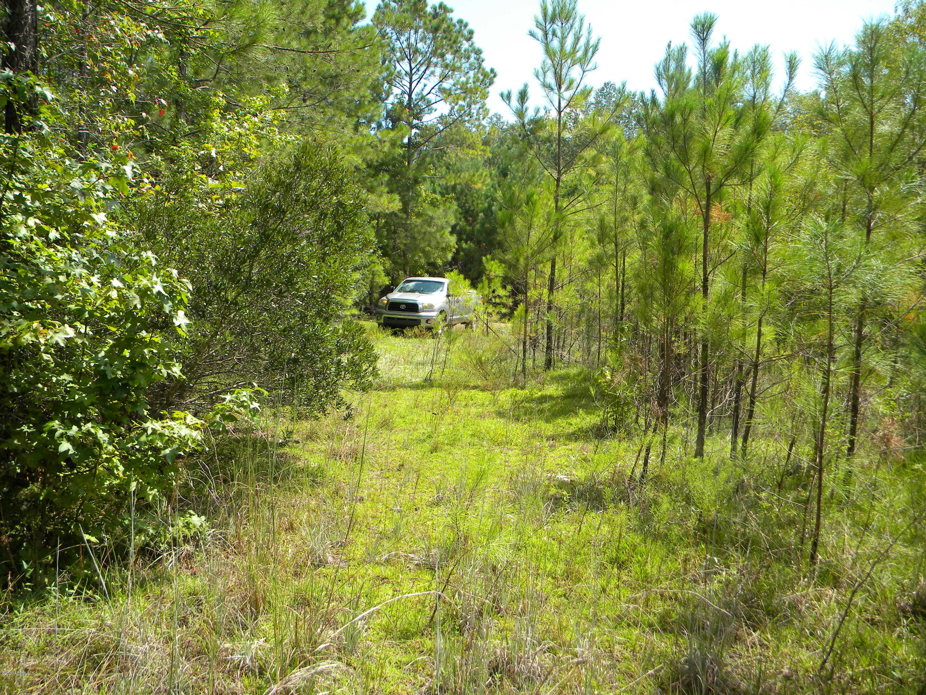 0 Alexander Road Yemassee, SC 29945 - Photo 5 of 5 DSCN4487