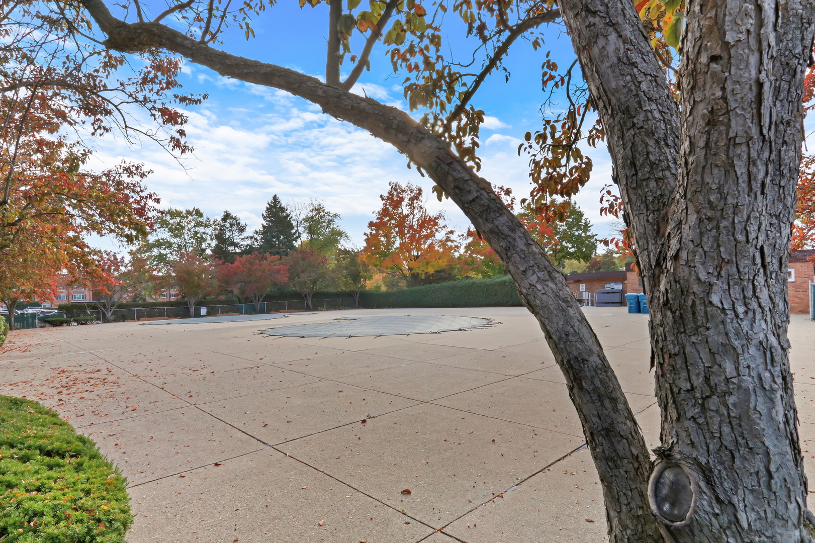 1107 South Old Wilke Road, Unit 201 Rolling Meadows, IL 60005 - Photo 22 of 33