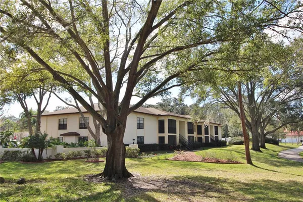 a view of a yard in front of a house